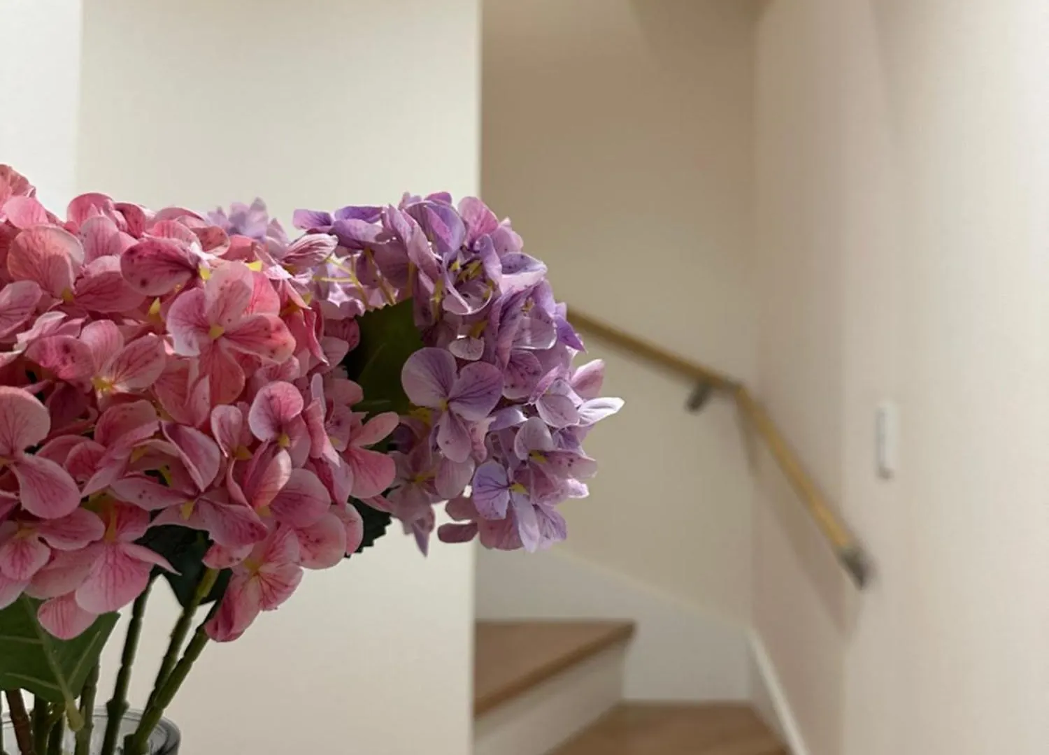 Nestay Villa Tokyo Itabashi